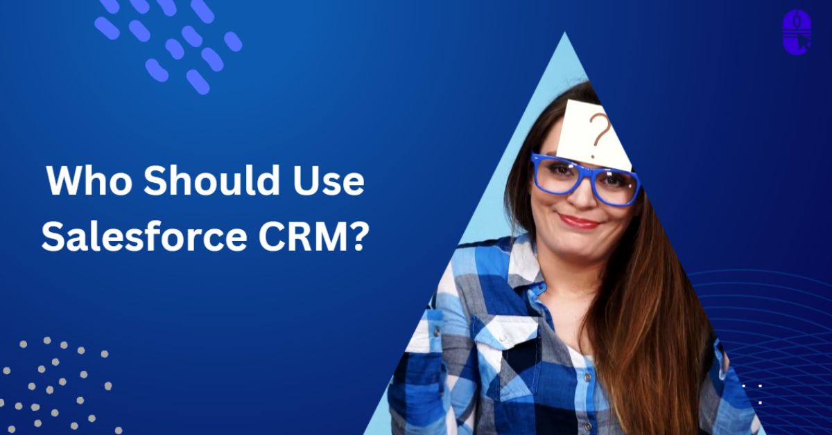 who should use salesforce crm